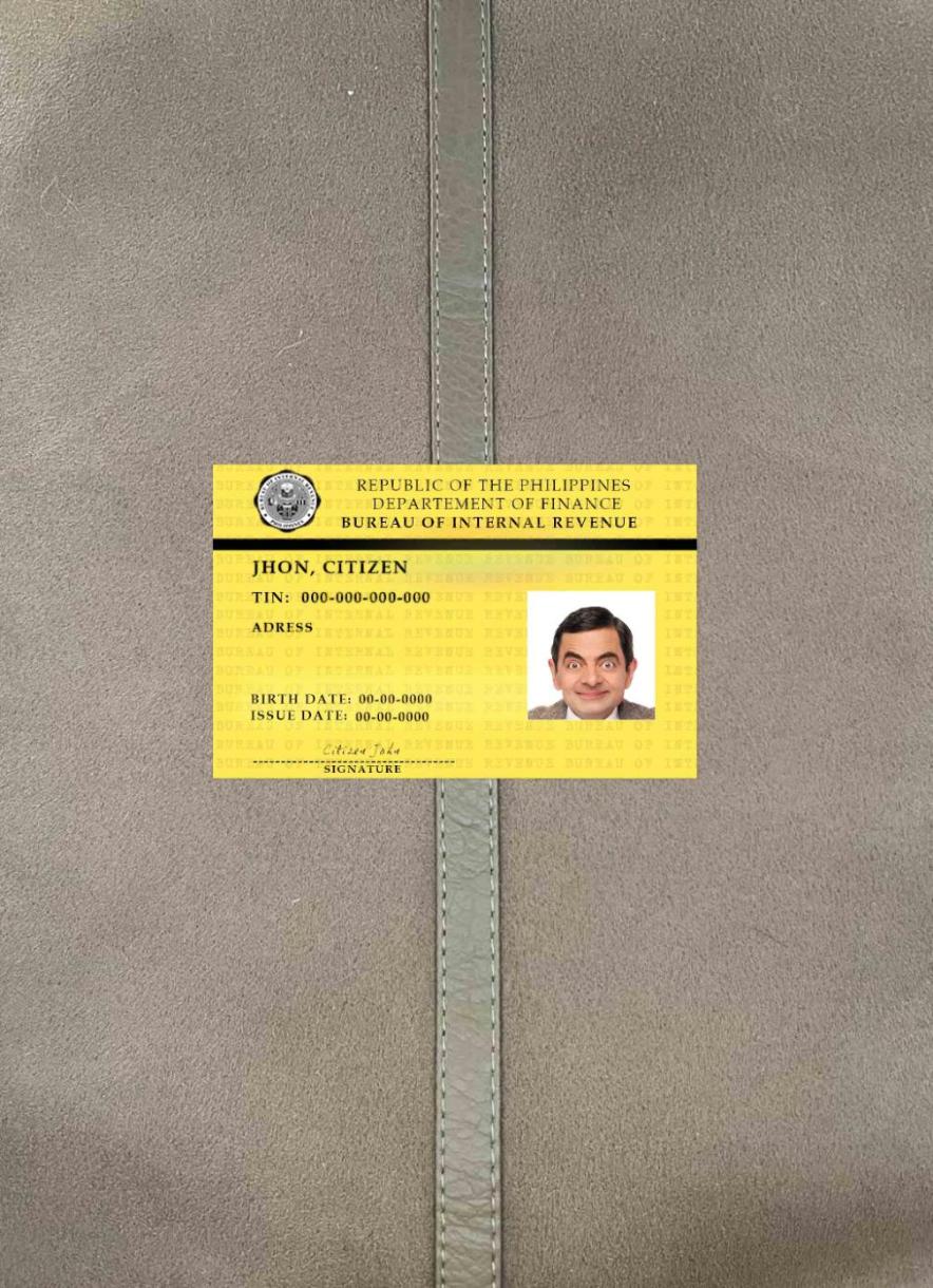 Realistic Philippines bureau of internal revenue photolook real example